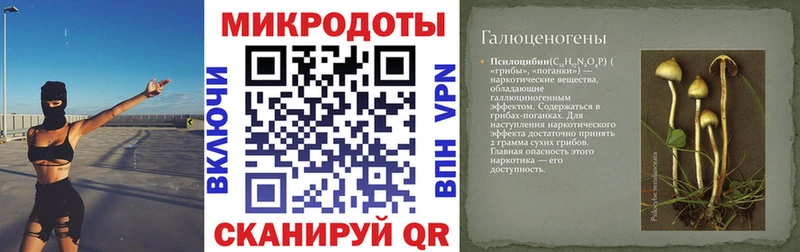 Псилоцибиновые грибы Magic Shrooms  Волгоград 