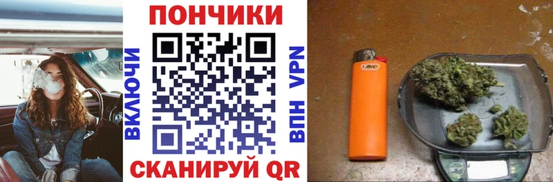 Каннабис план  Волгоград 